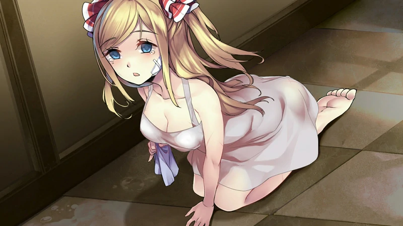 图片[10]-安卓+电脑【互动SLG动态】奈的调教日记 骑-大壮游戏