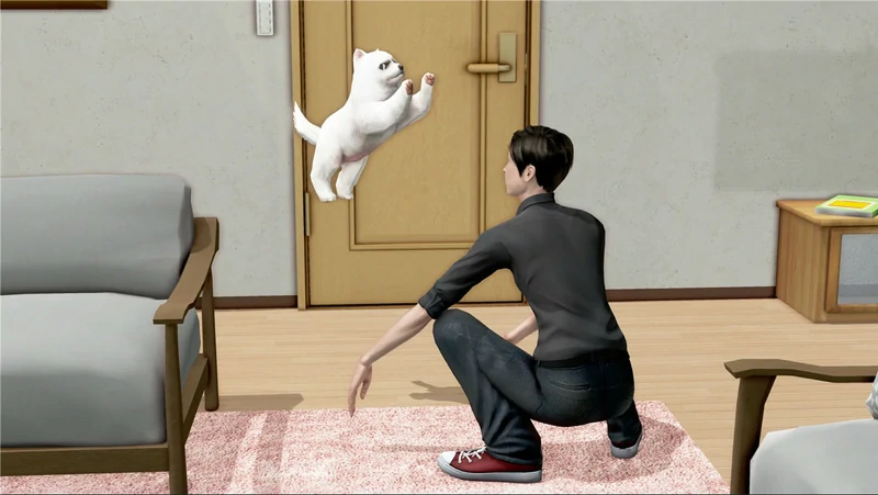 图片[5]-安卓+电脑【ADV全动态CV】都市美艳后宫 3部 步 ty模拟器玩-大壮游戏