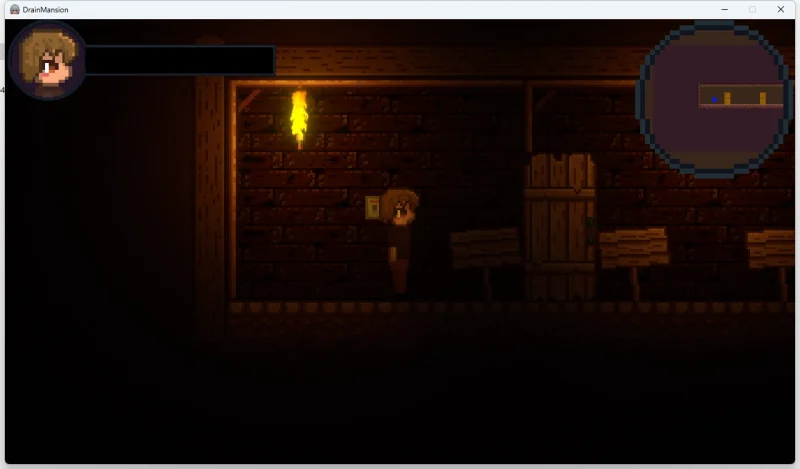 图片[2]-安卓+电脑【像素ACT动态】Drain Mansion v2.0.4-大壮游戏