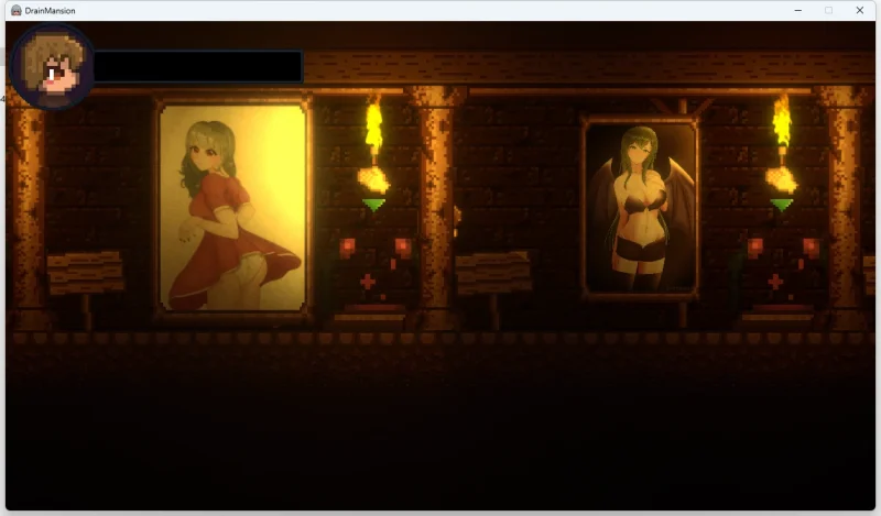 安卓+电脑【像素ACT动态】Drain Mansion v2.0.4-大壮游戏