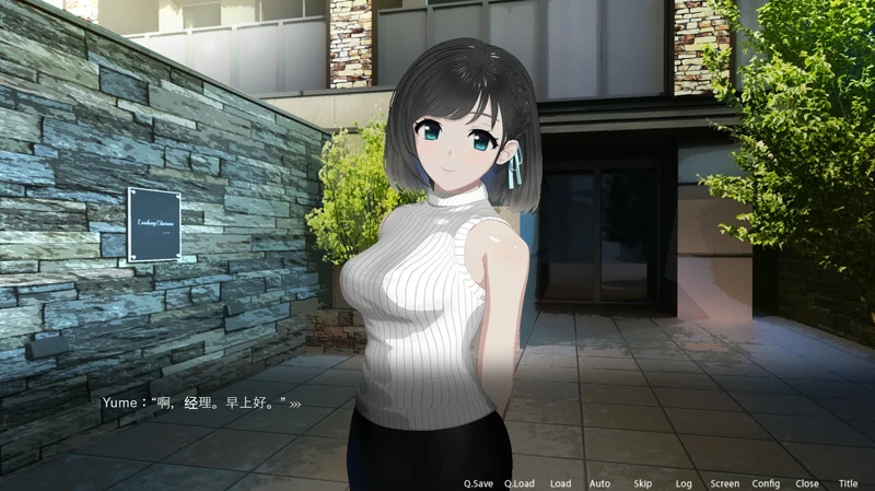 图片[2]-安卓+电脑【爆款SLG/动态】ROOM 窥视女孩私生活SLG+全DLC+特典 v2.04 ty模拟器玩-大壮游戏