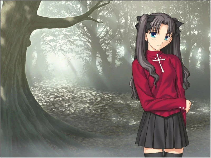 图片[1]-安卓+电脑【SLG同人】Fate Stay Night命运长夜-大壮游戏