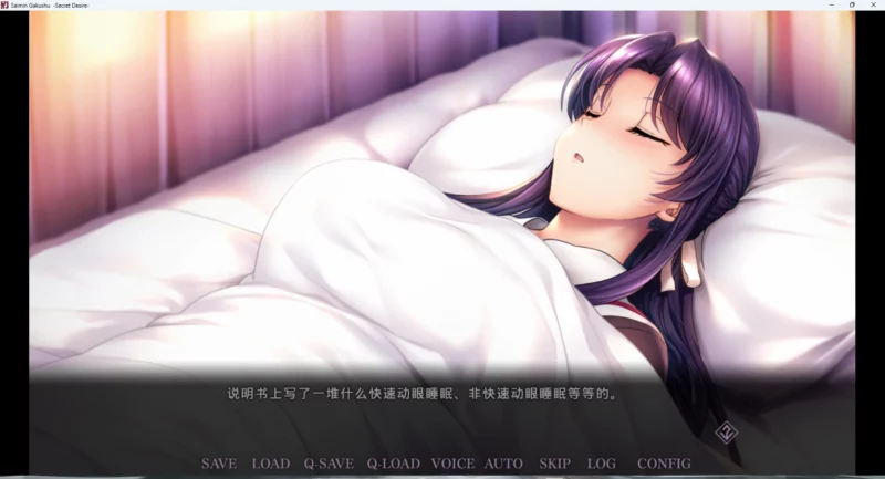 图片[9]-电脑版【催眠ADV】催眠学习-Secret Desire 官中-大壮游戏