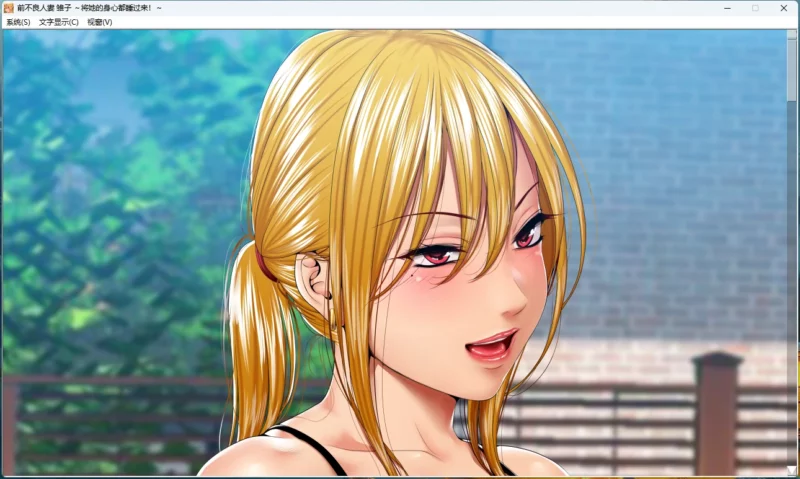 电脑版【ADV_NTR_CV】前不良人妻-雏子 骑-大壮游戏