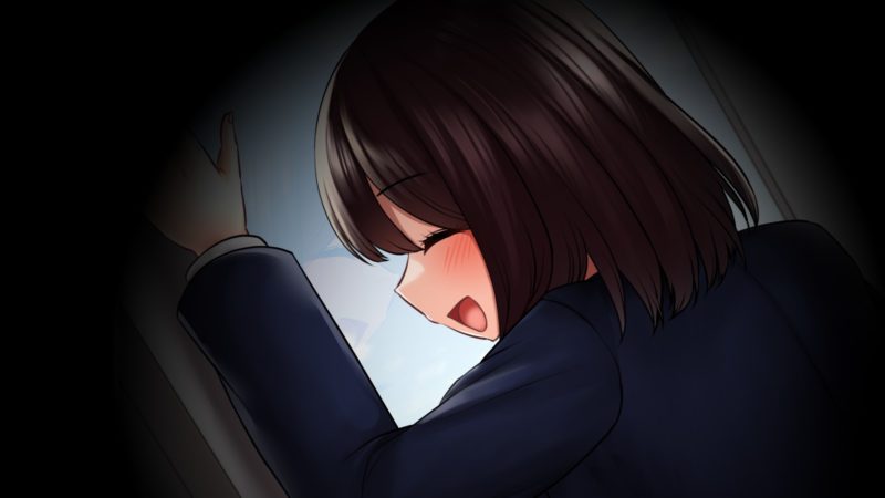 图片[1]-安卓+电脑【SLG全动态CV】痴汉追想曲-目标学校电车-大壮游戏