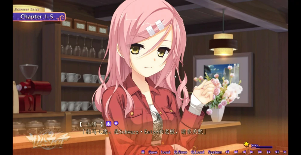 图片[2]-安卓+电脑【ADV汉化CV】魔女的夜宴 精翻完整汉化版 骑 ty模拟器玩-大壮游戏