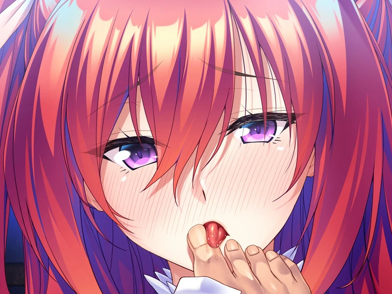 图片[11]-安卓+电脑【ADV汉化CV】骑士团长怀孕了 v1.11 骑-大壮游戏