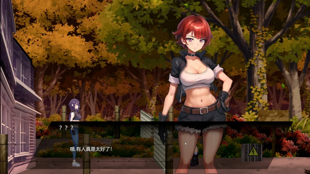 图片[3]-电脑版【塔防生存SLG动态】D-Zone 官中+存档  步-大壮游戏