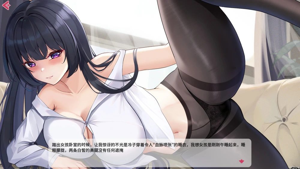 图片[6]-电脑版【互动SLG动态】性感可爱的银妻们 XXII 官中作弊+步兵-大壮游戏