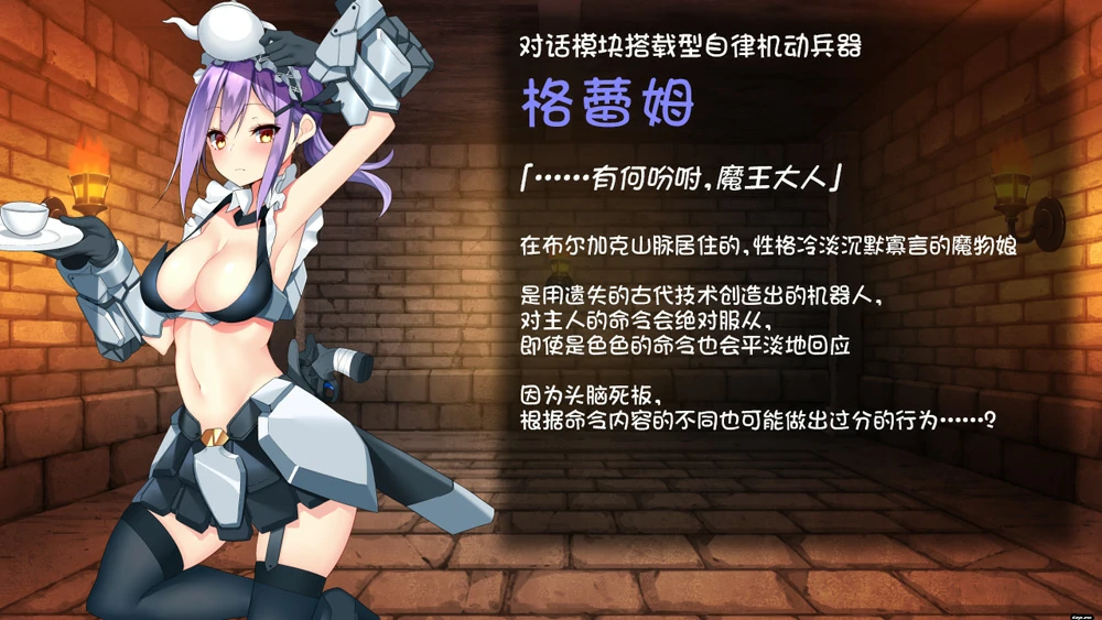 图片[9]-电脑版【大型SLG+RPG汉化全动态】好走不送勇者大人 v1.3 精翻汉化版+存档 骑-大壮游戏