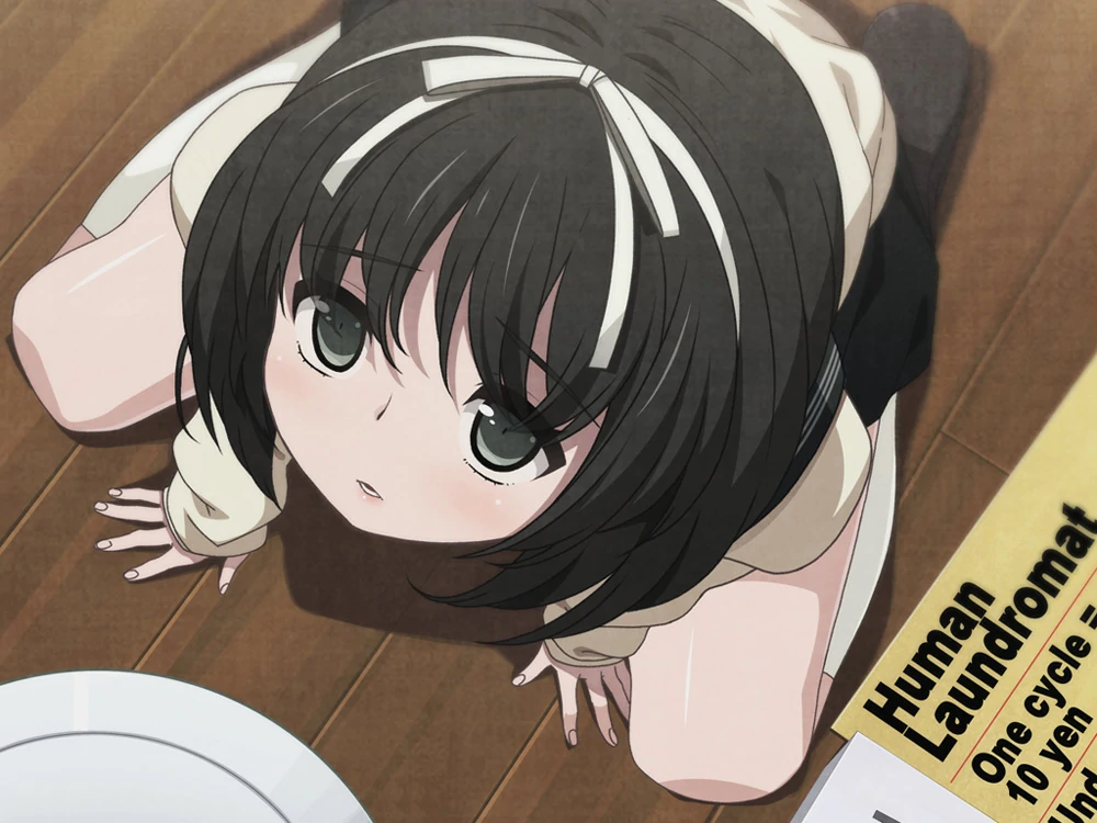 图片[1]-电脑版【大型ADV全动态CV重口】乐园之扉+动画 骑-大壮游戏