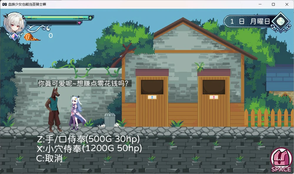 图片[3]-电脑版【ACT像素动态】血族少女也能当圣骑士吗 V1.0 STEAM官中 步-大壮游戏