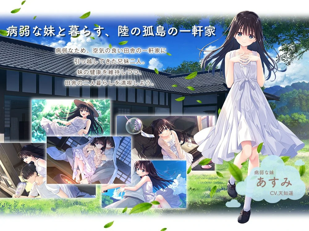 安卓+电脑【爆款RPG全CV】痴情哥哥与病弱妹妹的乡间生活 骑 ty模拟器玩-大壮游戏