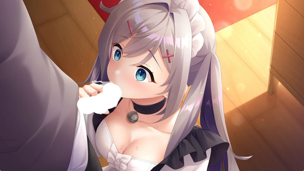 图片[17]-安卓+电脑【精品ADV全CV】女仆酱陷入迷途v1.0.0 骑 ty模拟器玩-大壮游戏