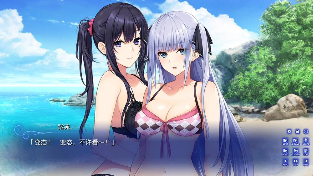 图片[7]-安卓+电脑【神作ADV动态魔改版】水莲与紫苑 精翻+全CG 60fps魔改 骑 ty模拟器玩-大壮游戏